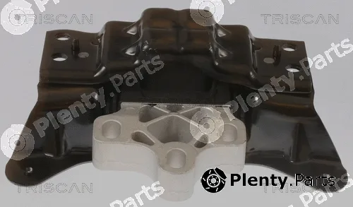 Triscan 850529135 — Mounting, engine