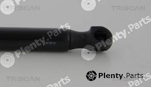 Triscan 8710292108 — Gas Spring, boot/cargo area
