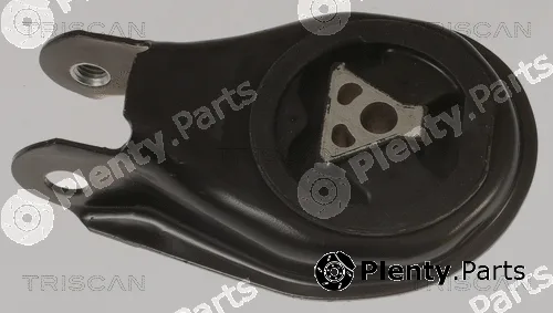 Triscan 850510200 — Mounting, engine