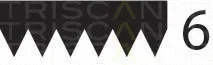Triscan 8640602253 — V-Ribbed Belt