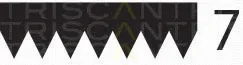 Triscan 8640702275 — V-Ribbed Belt