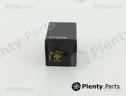Triscan 1010EP33 — Flasher Unit