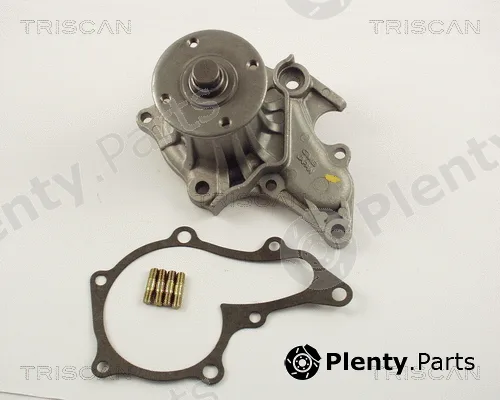 Triscan 860013991 — Water Pump, engine cooling