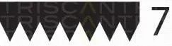 Triscan 8640701760 — V-Ribbed Belt