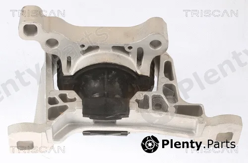 Triscan 850516111 — Mounting, engine