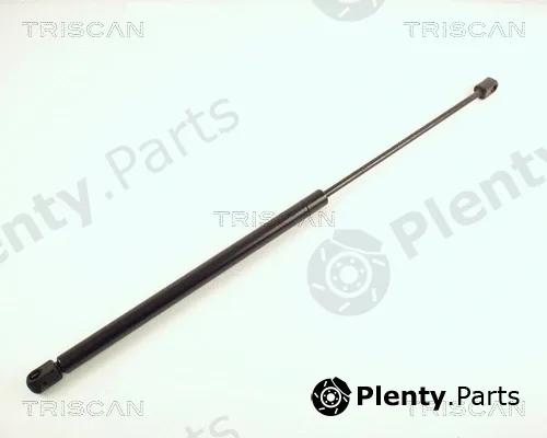Triscan 871016209 — Gas Spring, boot/cargo area