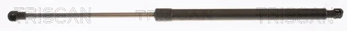 Triscan 871025283 — Gas Spring, boot/cargo area
