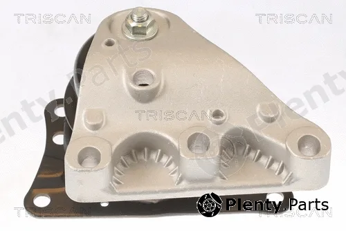 Triscan 850529110 — Mounting, engine