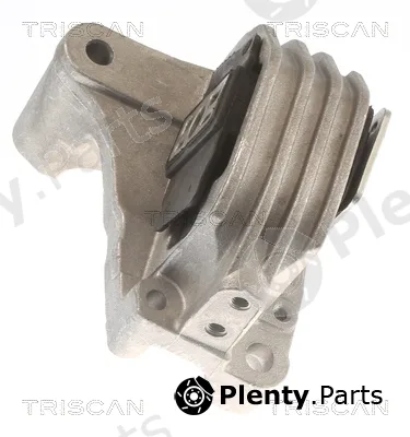 Triscan 850527111 — Mounting, engine