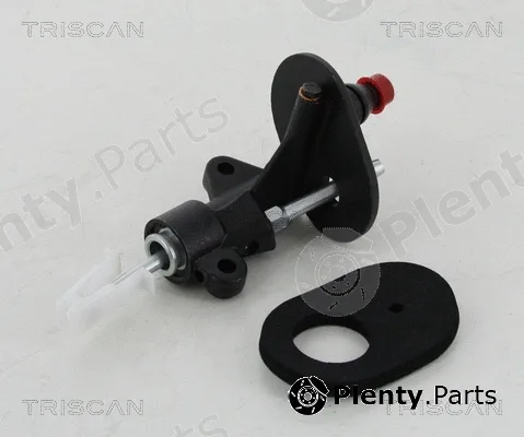 Triscan 813010202 — Master Cylinder, clutch