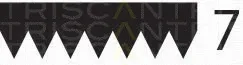 Triscan 8640702265 — V-Ribbed Belt