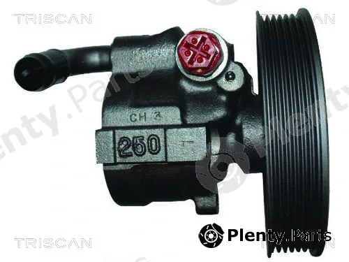 Triscan 851524618 — Hydraulic Pump, steering