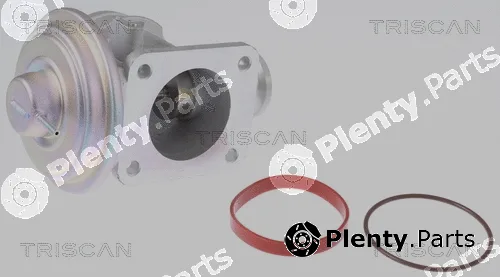 Triscan 881311004 — EGR Valve