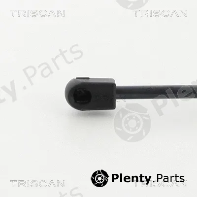 Triscan 8710292011 — Gas Spring, boot/cargo area