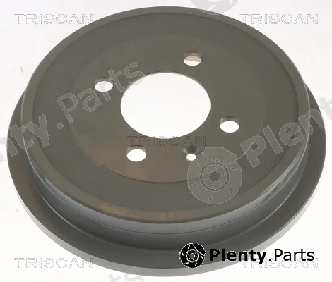 Triscan 812029221C — Brake Drum