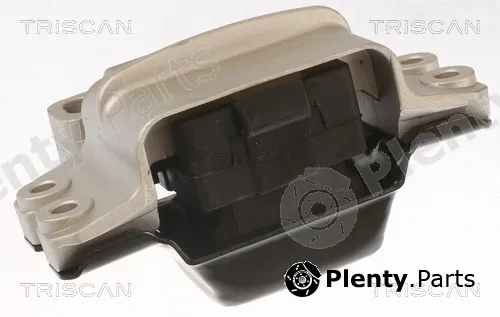Triscan 850529112 — Mounting, engine