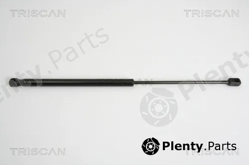 Triscan 871015238 — Gas Spring, boot/cargo area