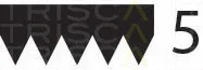 Triscan 8640500690 — V-Ribbed Belt
