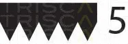 Triscan 8640501163 — V-Ribbed Belt
