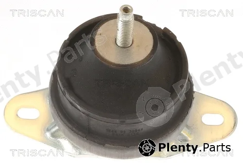 Triscan 850510131 — Mounting, engine