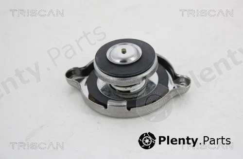 Triscan 86102 — Cap, radiator