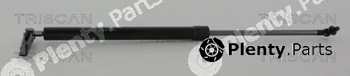 Triscan 871068224 — Gas Spring, boot/cargo area