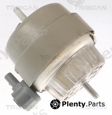 Triscan 850529174 — Mounting, engine
