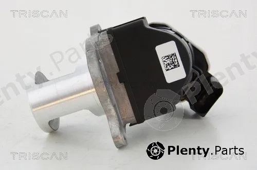 Triscan 881323101 — EGR Valve