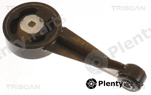 Triscan 850529190 — Mounting, engine