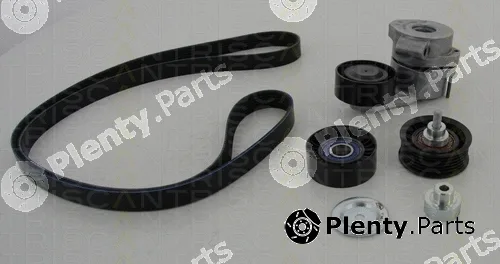 Triscan 864216008 — V-Ribbed Belt Set
