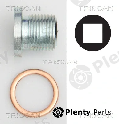 Triscan 95001004 — Screw Plug, oil sump