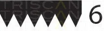Triscan 8640601070 — V-Ribbed Belt