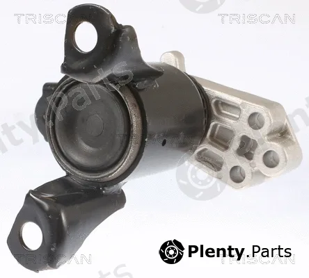 Triscan 850516102 — Mounting, engine