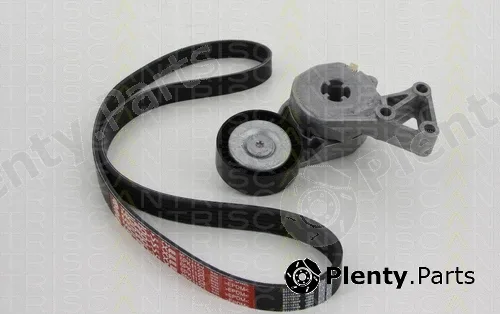 Triscan 864229003 — V-Ribbed Belt Set