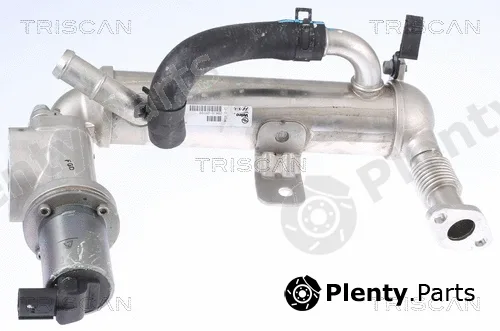 Triscan 881343041 — EGR Valve