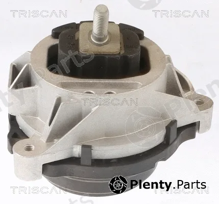 Triscan 850511108 — Mounting, engine