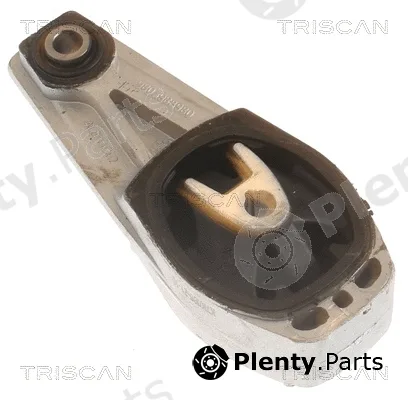 Triscan 850528102 — Mounting, engine