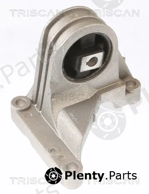 Triscan 850527101 — Mounting, engine