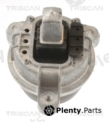 Triscan 850511117 — Mounting, engine