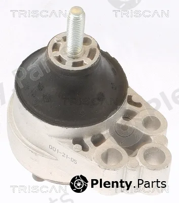 Triscan 850516120 — Mounting, engine