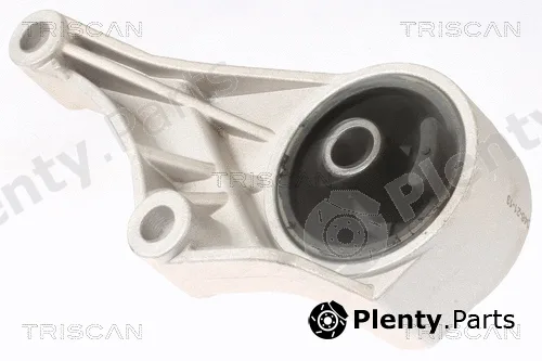Triscan 850524100 — Mounting, engine