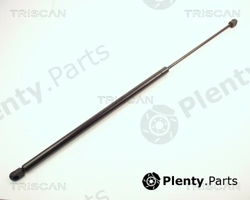 Triscan 87102427 — Gas Spring, boot/cargo area