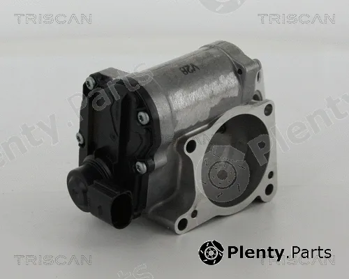 Triscan 881329311 — EGR Valve