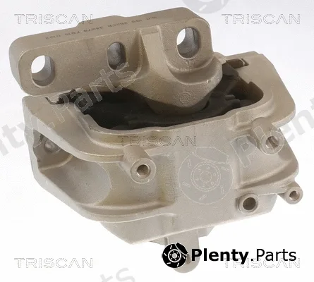 Triscan 850529143 — Mounting, engine