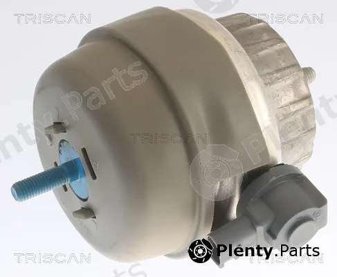 Triscan 850529141 — Mounting, engine