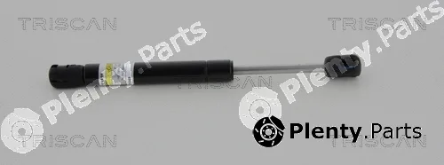Triscan 871050251 — Gas Spring, boot/cargo area