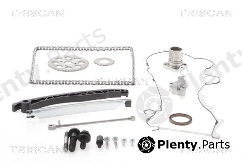 Triscan 865010001 — Timing Chain Kit