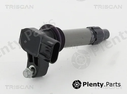 Triscan 886010024 — Ignition Coil