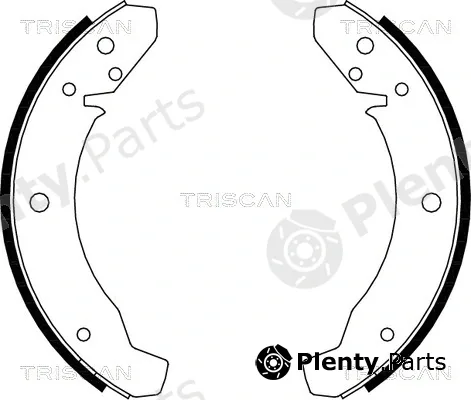 Triscan 810029105 — Brake Shoe Set