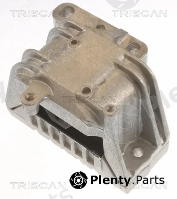 Triscan 850529125 — Mounting, engine